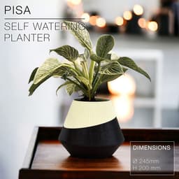 PISA | Self-Watering Planter 3d model