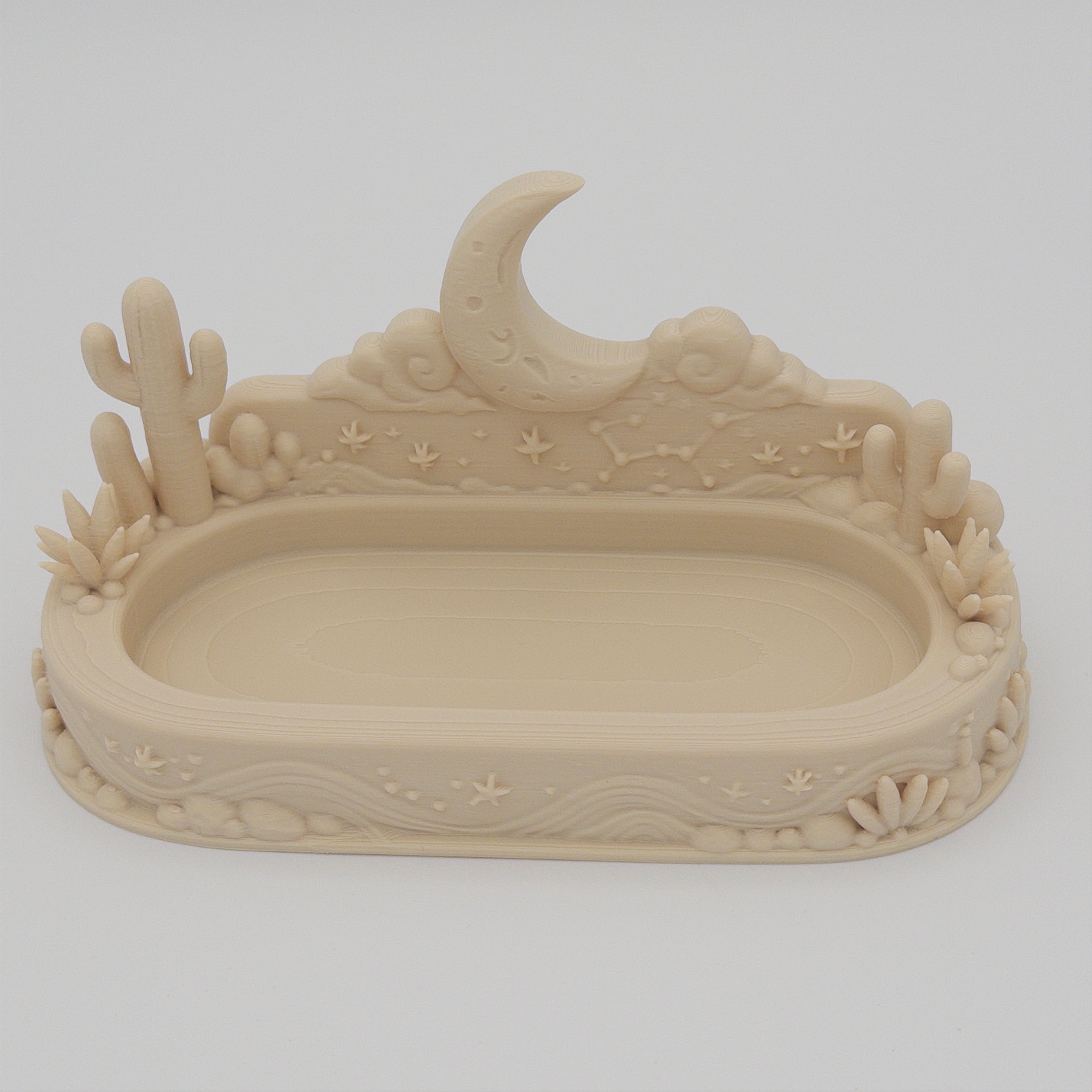 Desert Moon Cactus Catchall Tray 3d model