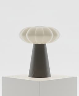 Aura Rose lamp 3d model