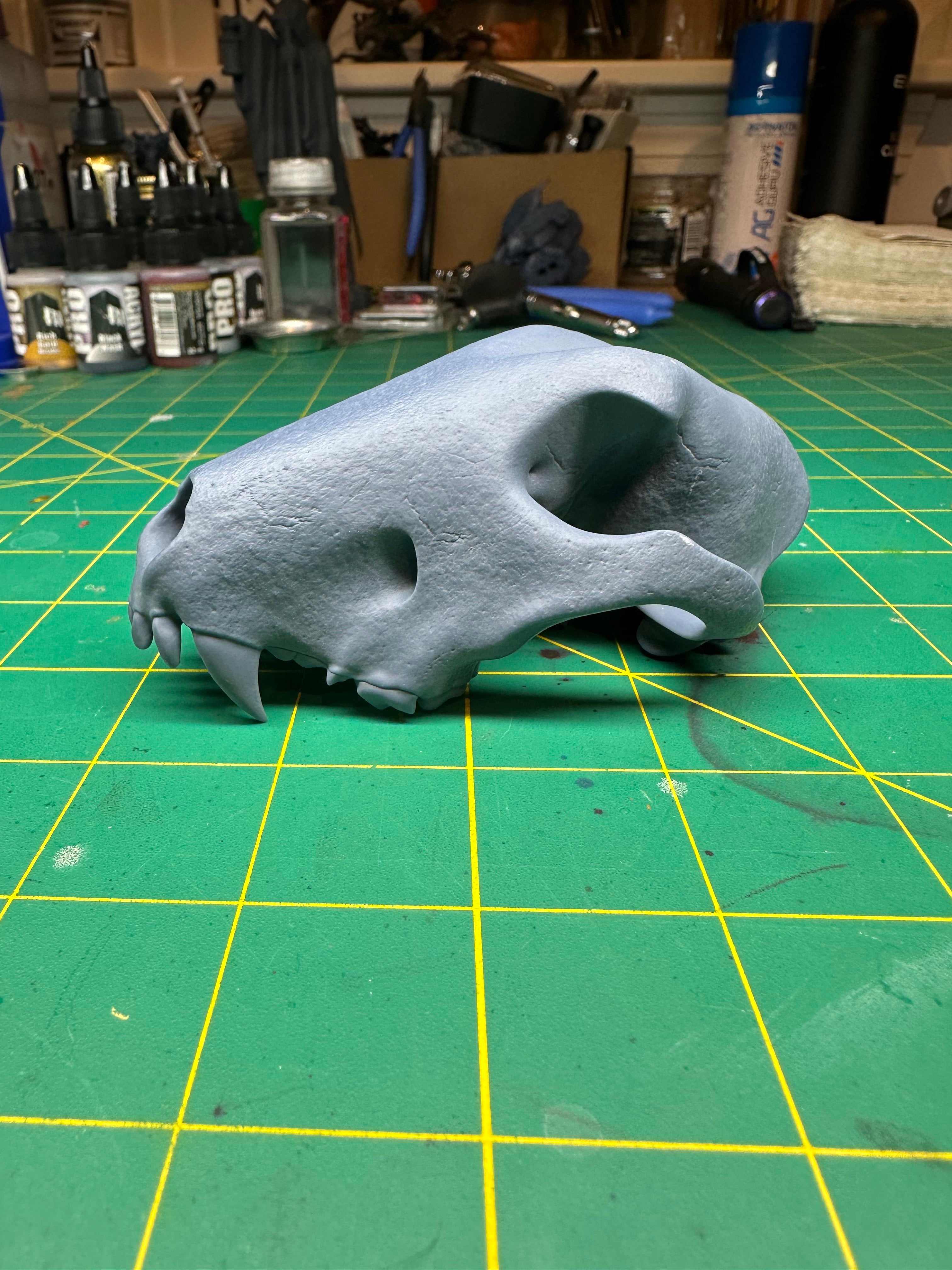 Bull Terrier Skull 3d model