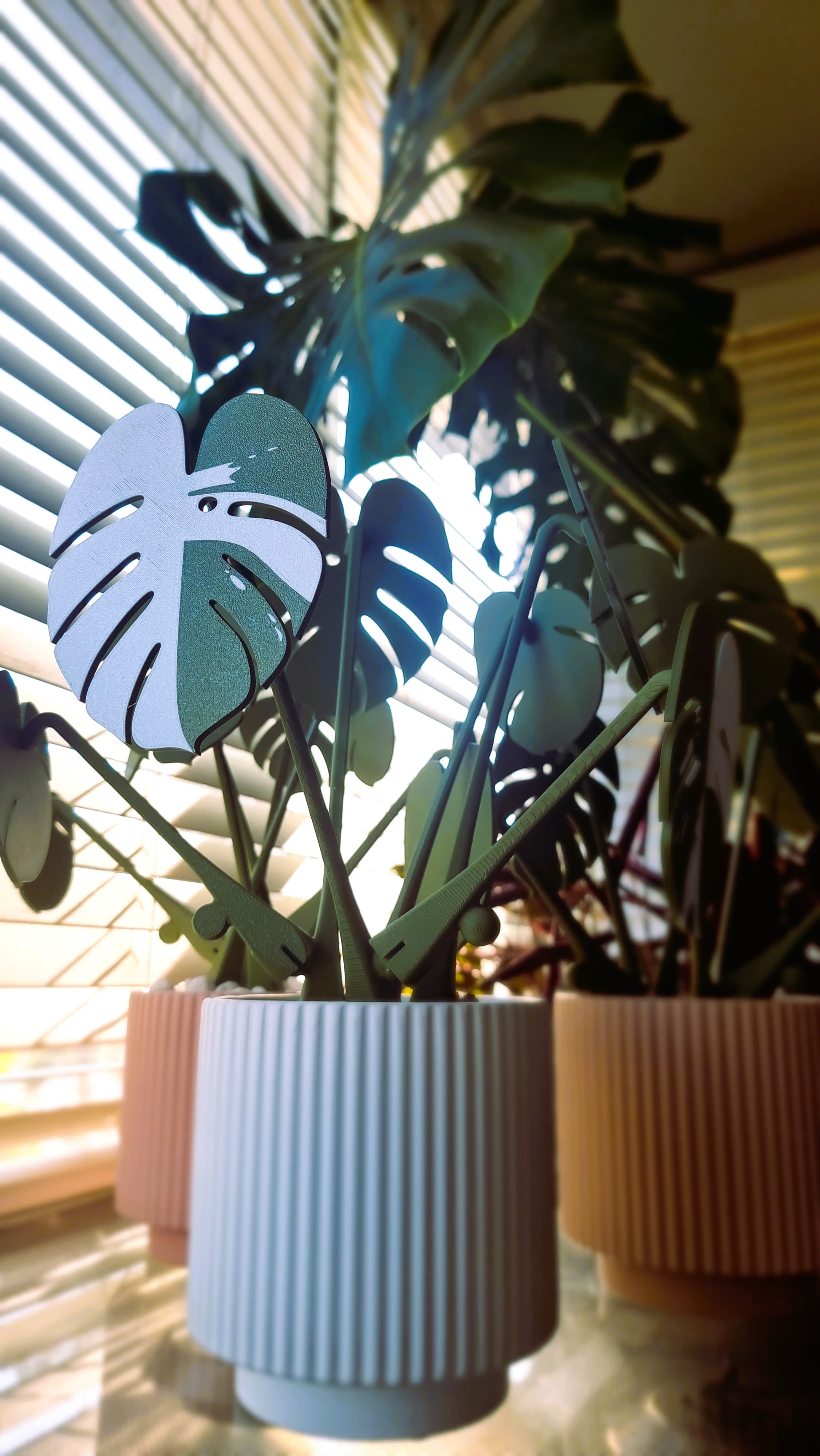 Our Big Daddy Monstera watching over the little Monstera coasters before they head off to brighten up our extended family's homes this Christmas.
I bought a Bambu Lab P1S just to print this.