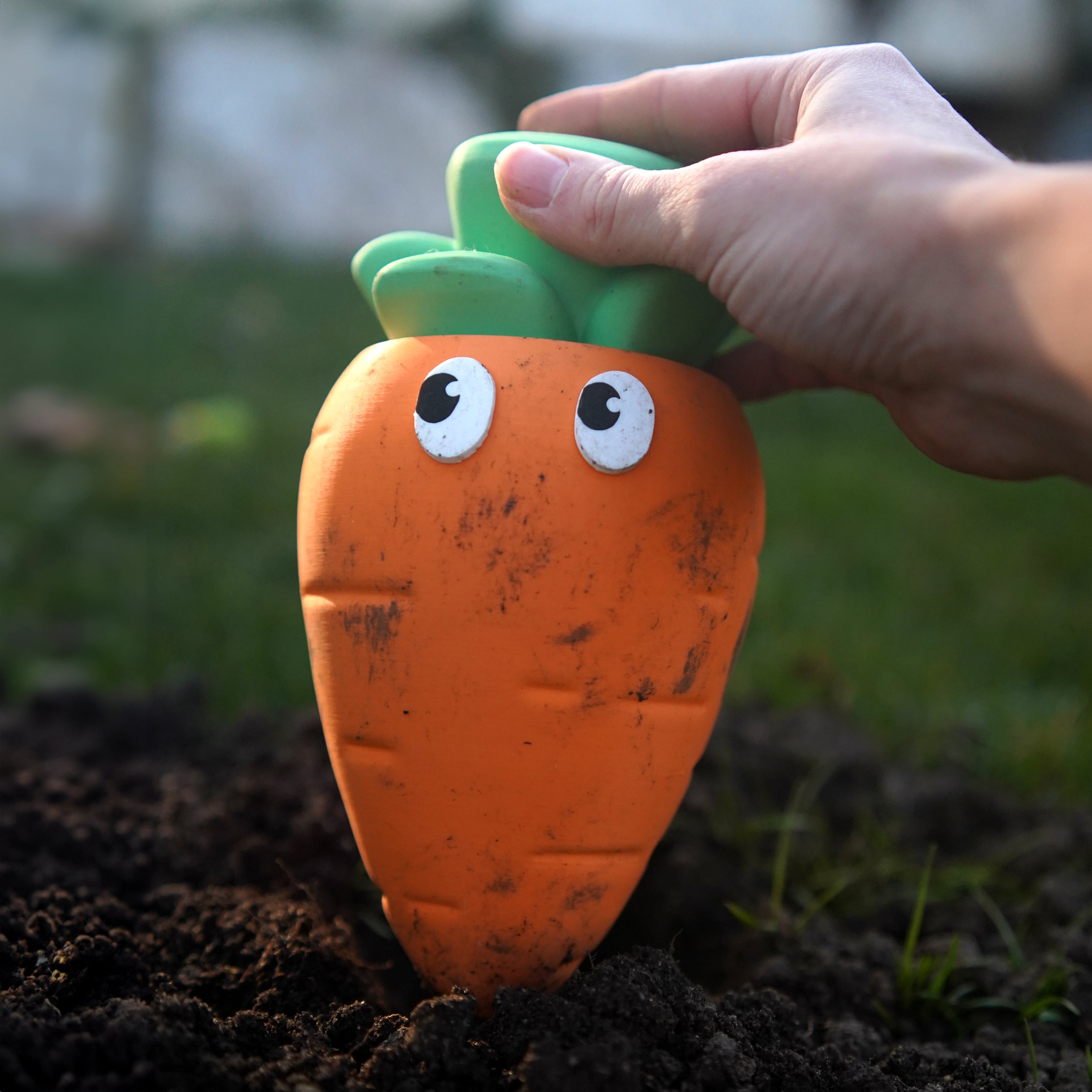 Carlo the Carrot Container 3d model