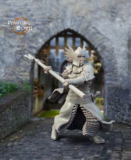 King's Guards - 3 Poses 3d model