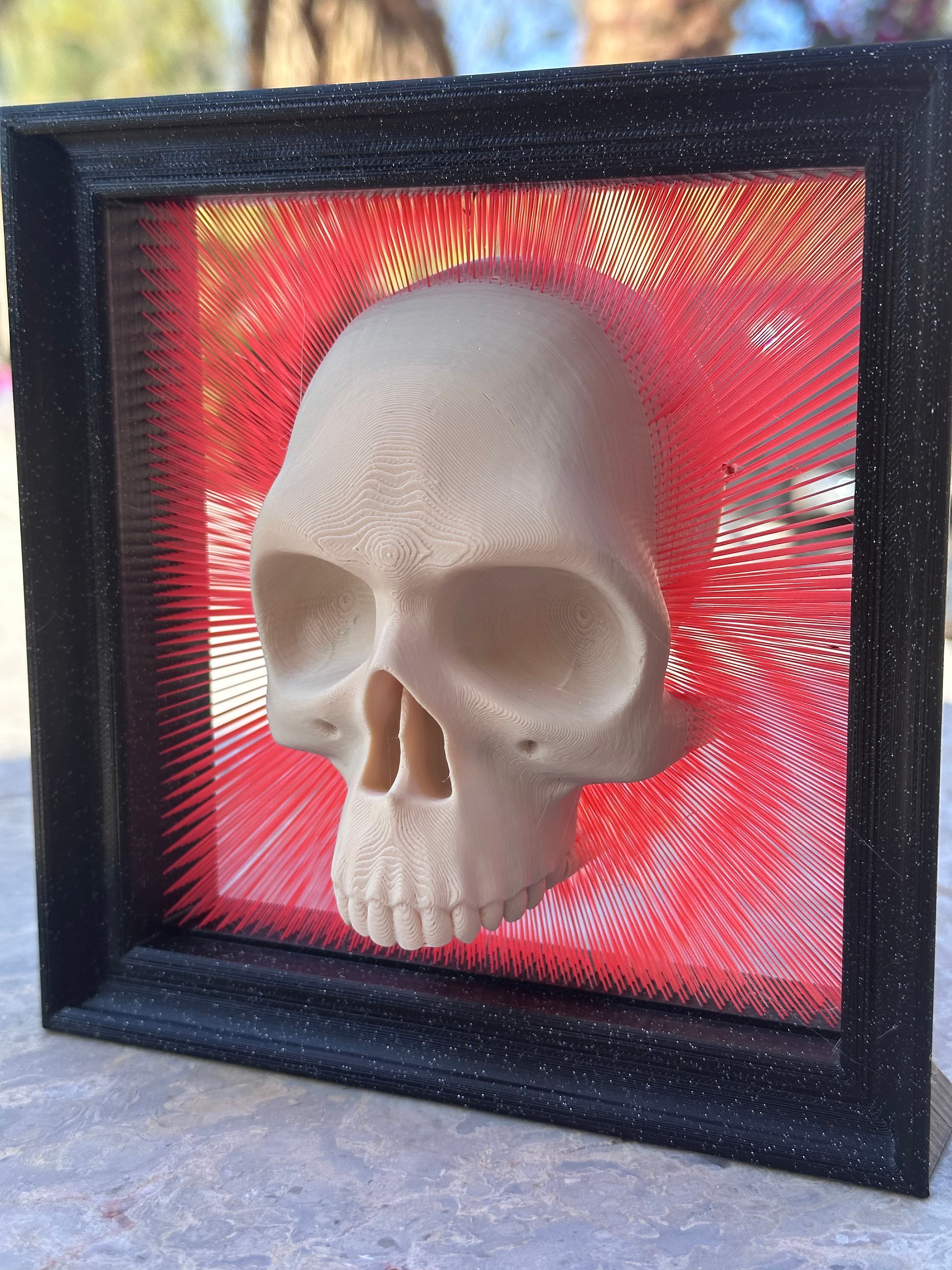 Framed Skull Tensegrity Skull Box - V2 with wall hanging, and frame 3d model