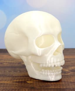 Spooky Skull Halloween decor 3d model