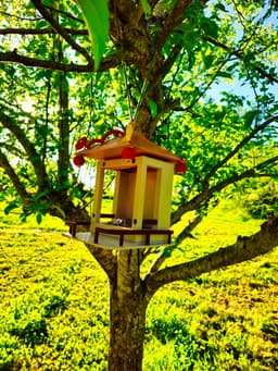 Bird Feeder Temple 3d model