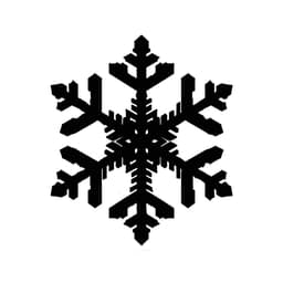 Leather Stamp 75mm Snowflake 5 3d model