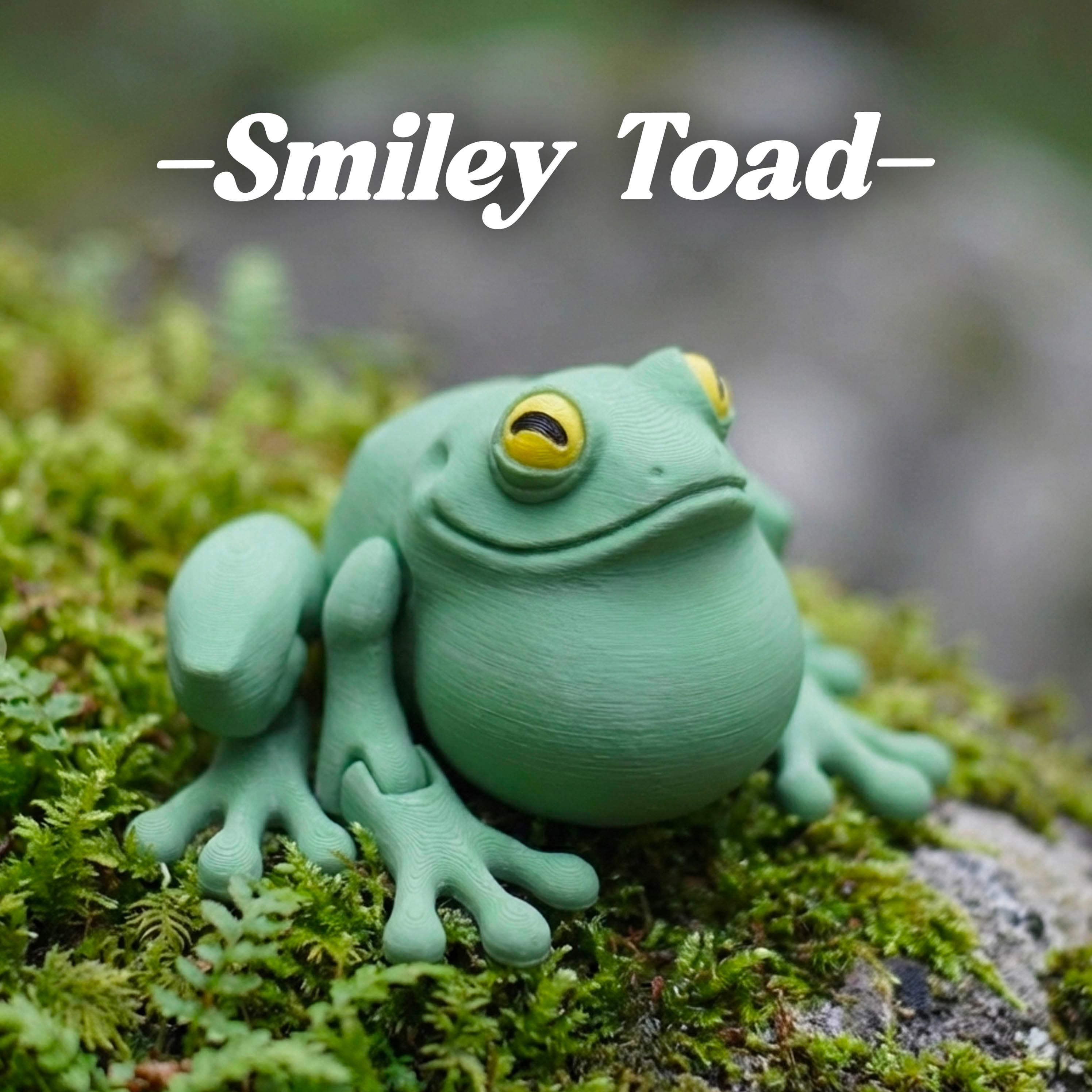 Smiley Toad 3d model