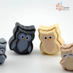 Who's Hoot 3d model