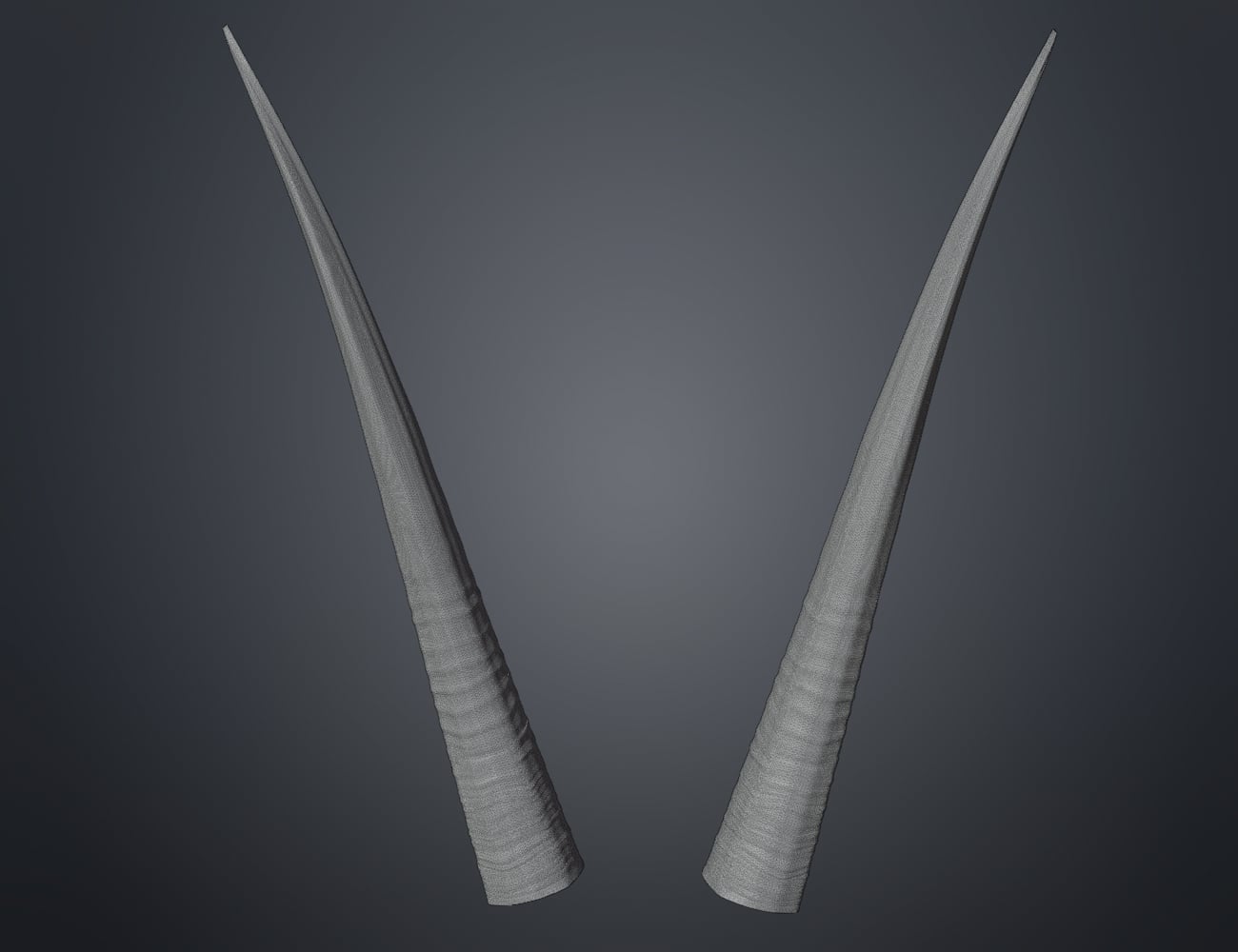 Oribi horns 3d model