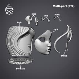 Bloomy Pot 3d model