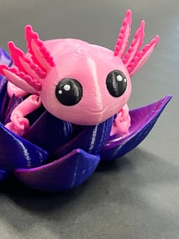 Axolotl Kawaii Multicolor 3d model