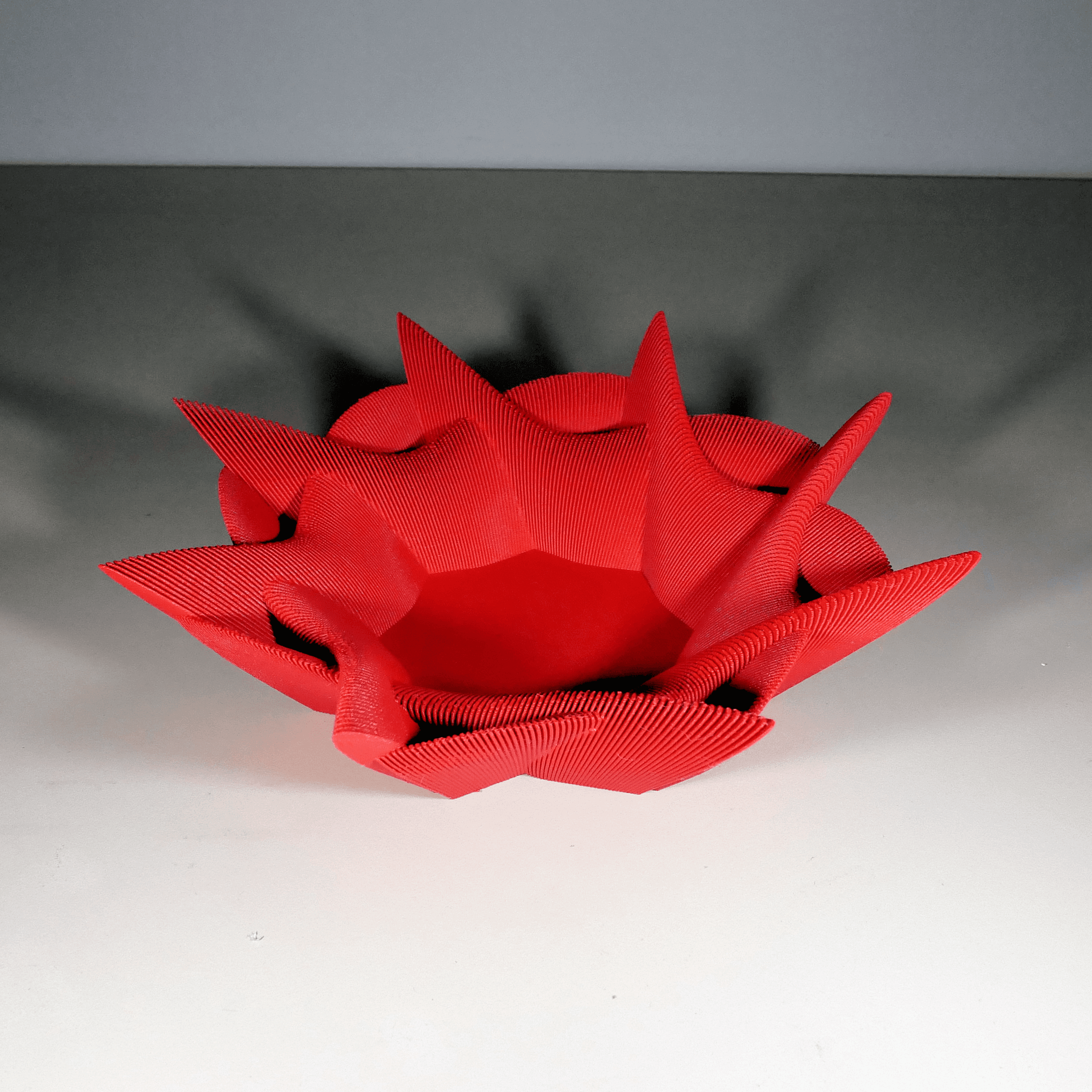 Echo Bowl 3d model