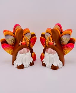 Boy Turkey Gnome 3d model