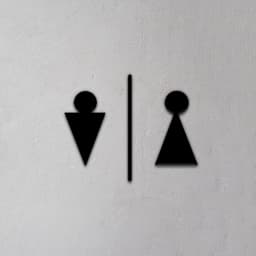 Toilet Sign 3d model