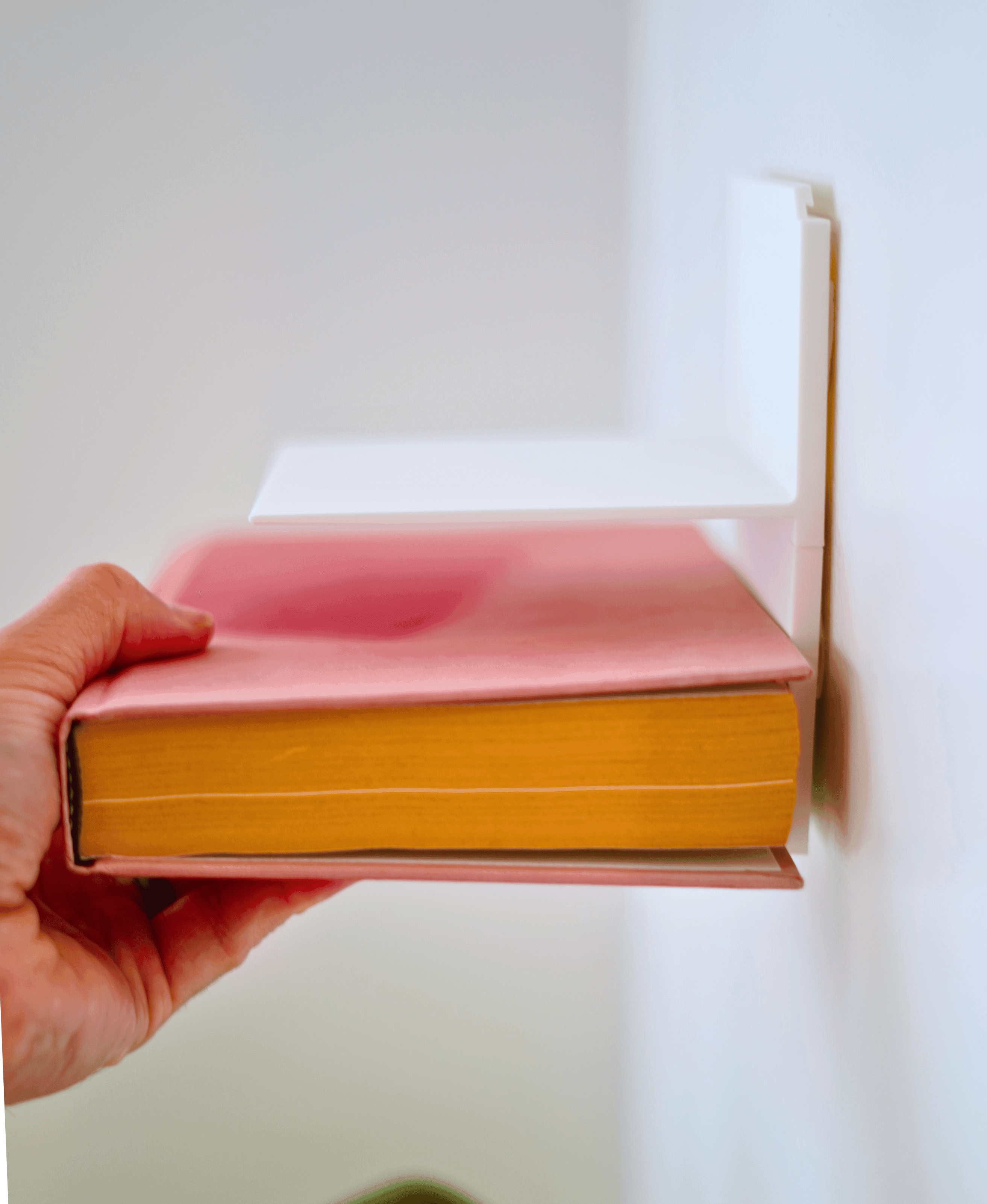 Invis Shelf 3d model