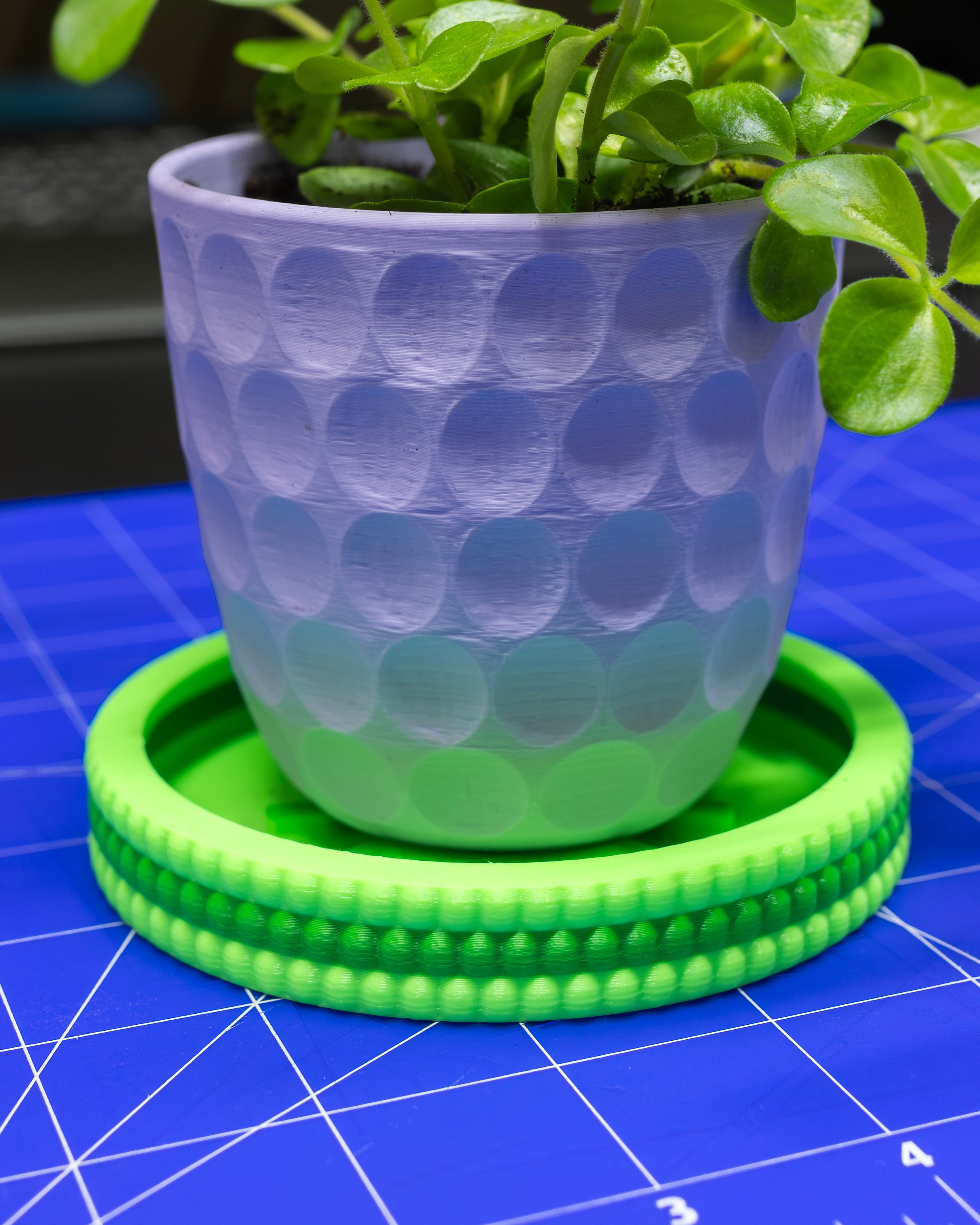 Beady Hydration Tray Collection // 3 Sizes Planter Drip Trays 3d model