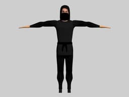 Ninja Rigged v1 3d model