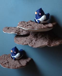 Mushroom shelf "Ganoderma Applanatum" 3d model