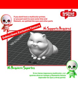 Baby Artic Fox 3d model