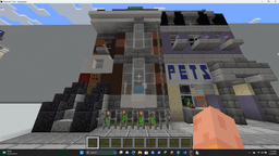 Minecraft Pet Shop 3d model