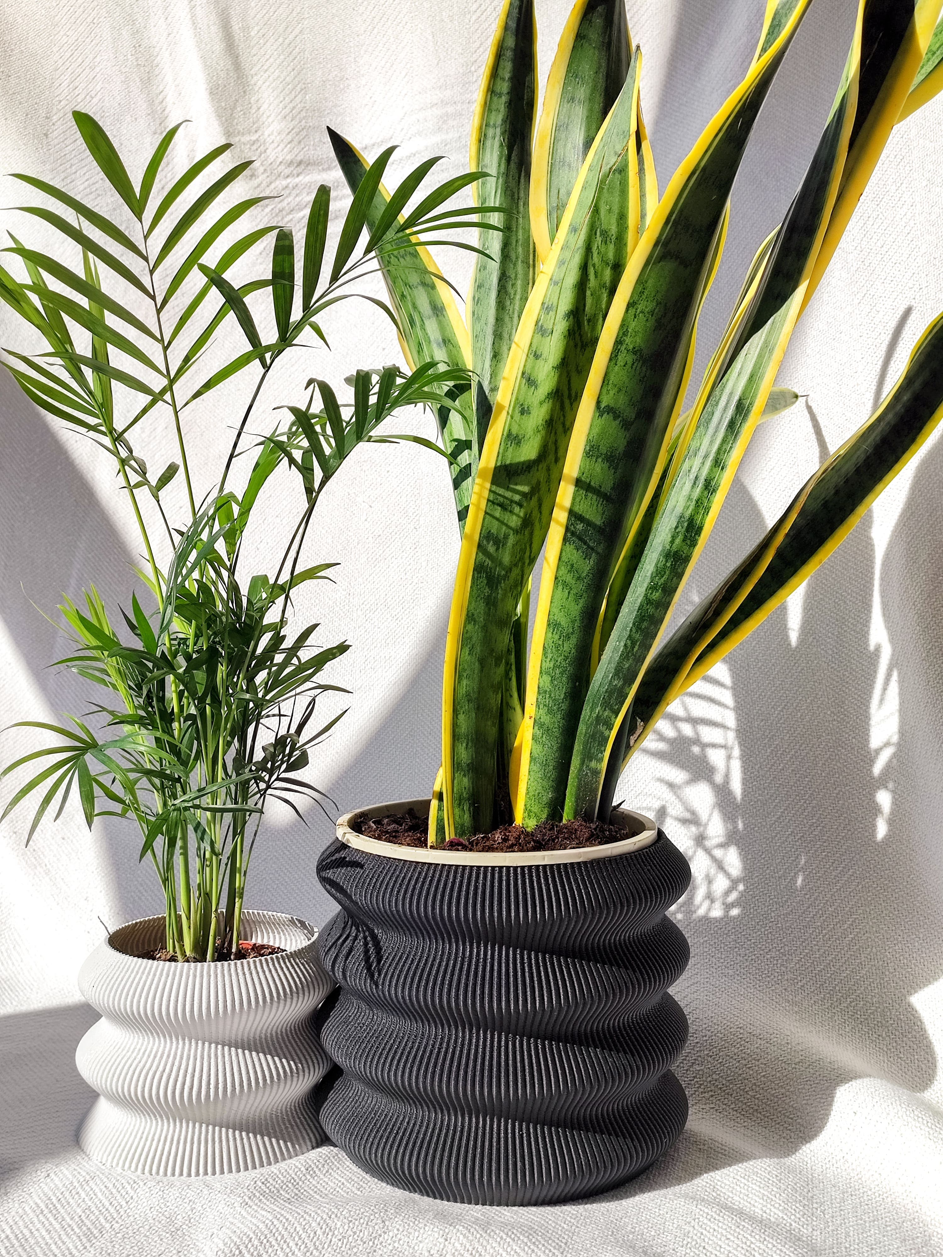 OMEGA Planters 3d model