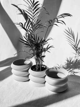 OMEGA Planters 3d model