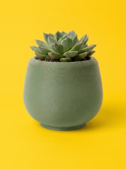 Minimalist Micro-Ribbed Plant Pot - Sleek Modern Bulbous Planter 3d model
