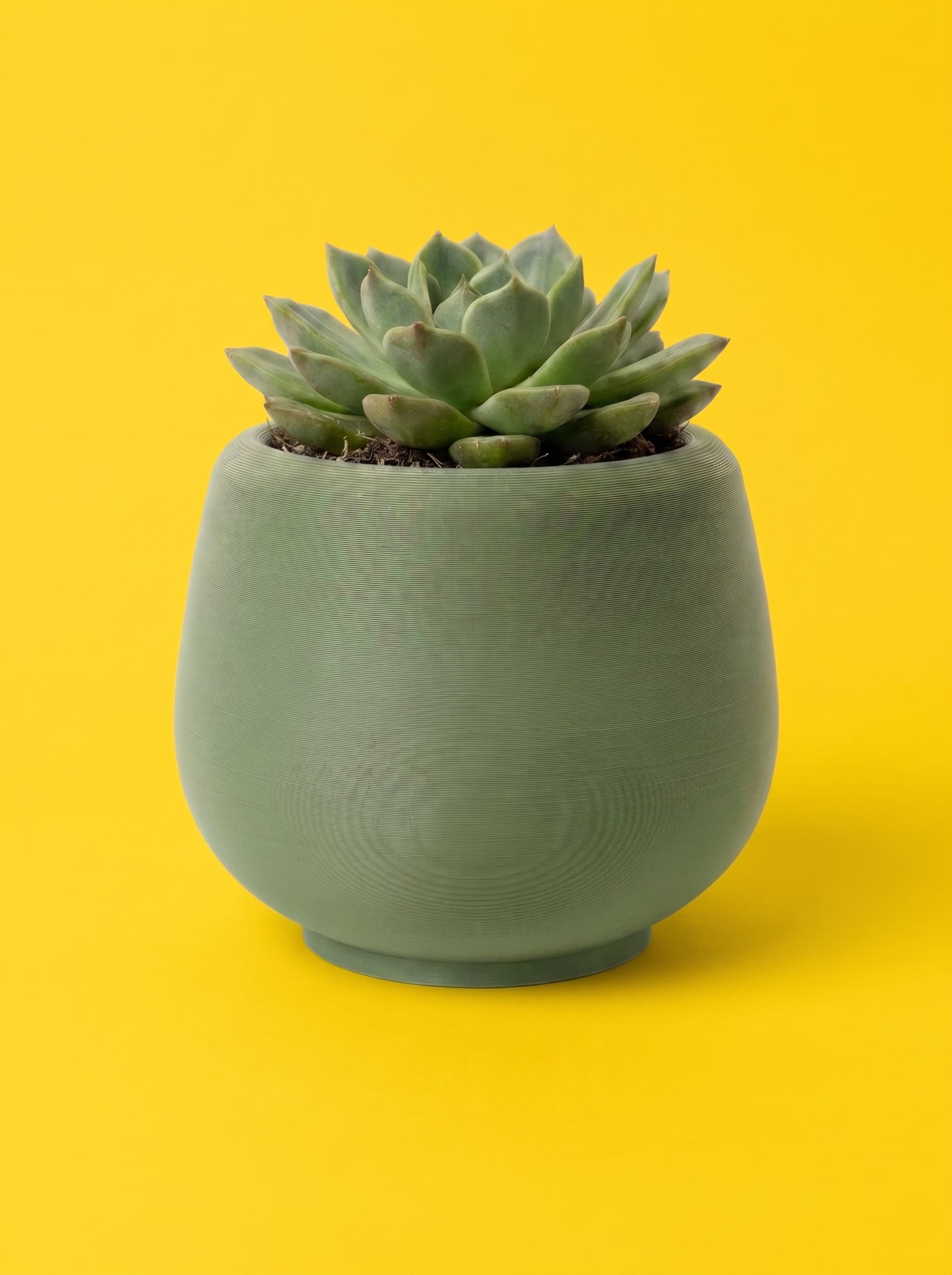 Minimalist Micro-Ribbed Plant Pot - Sleek Modern Bulbous Planter 3d model