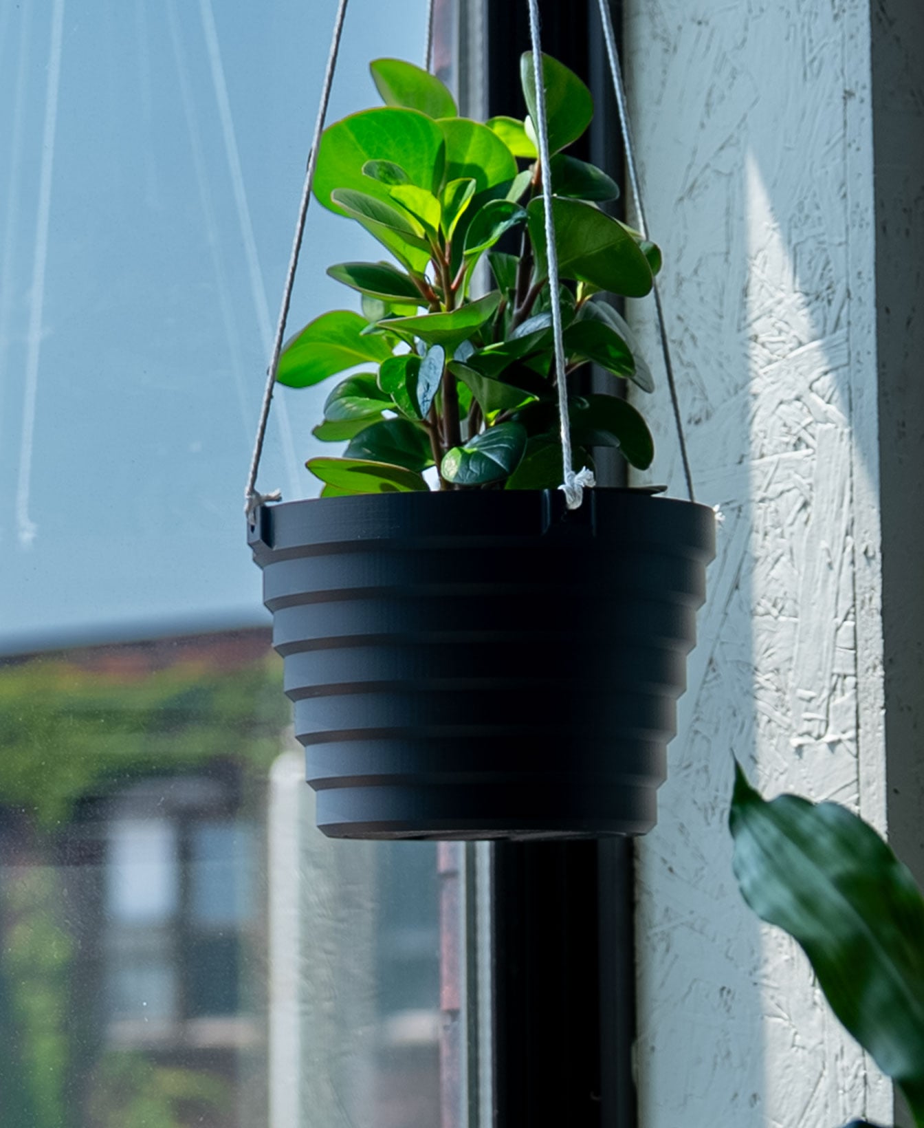 Hanging Planter - The Gio 3d model