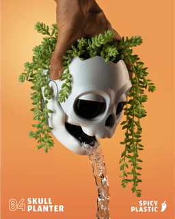 Skull planter 3d model