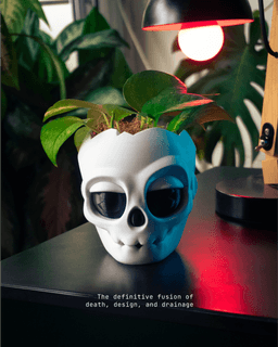 Skull planter 3d model