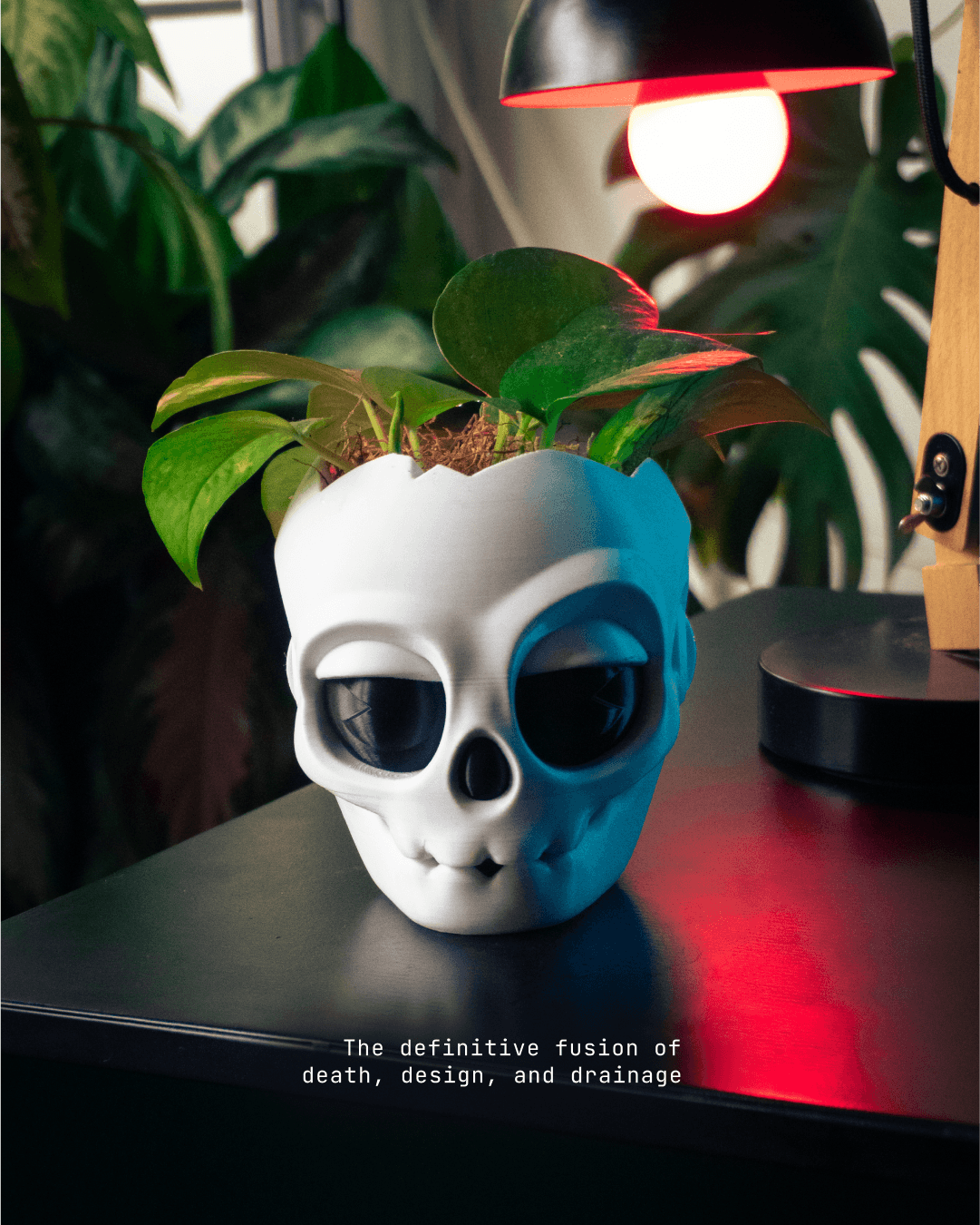 Skull planter 3d model