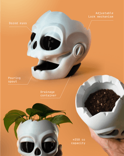 Skull planter 3d model