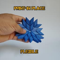 snowflake placemat & coaster 3d model