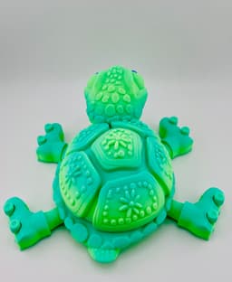 Turtle Roller Skate Flexi 3d model