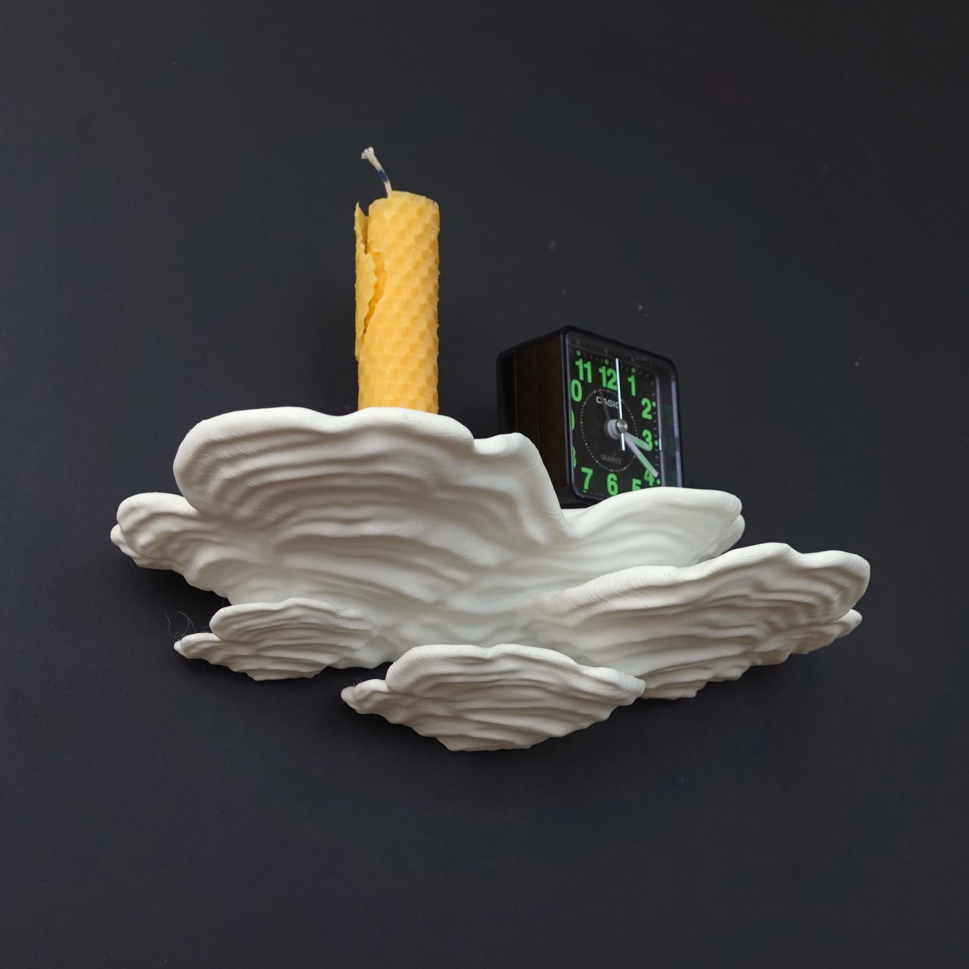 Mushroom shelf ā Stereum Ostreaā 3d model