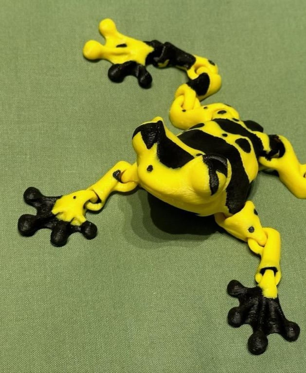 Poison Dart Cinder Frog!