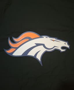 Denver Broncos 3d model