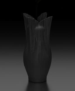 Velum 3d model