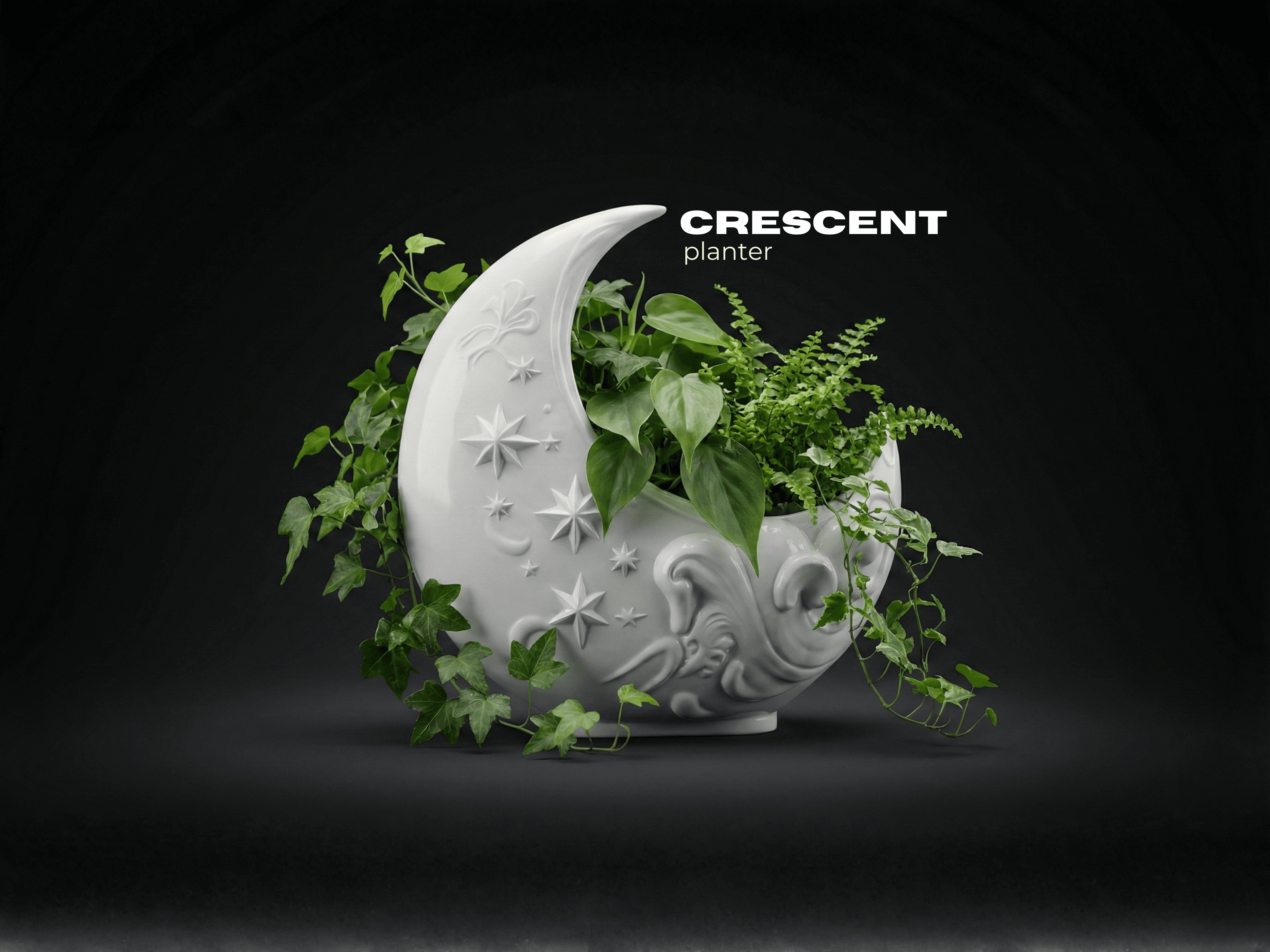 Crescent Moon Planter 3d model