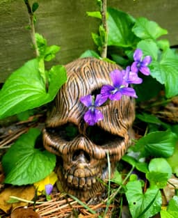 Wooden skull mushroom planter 3d model