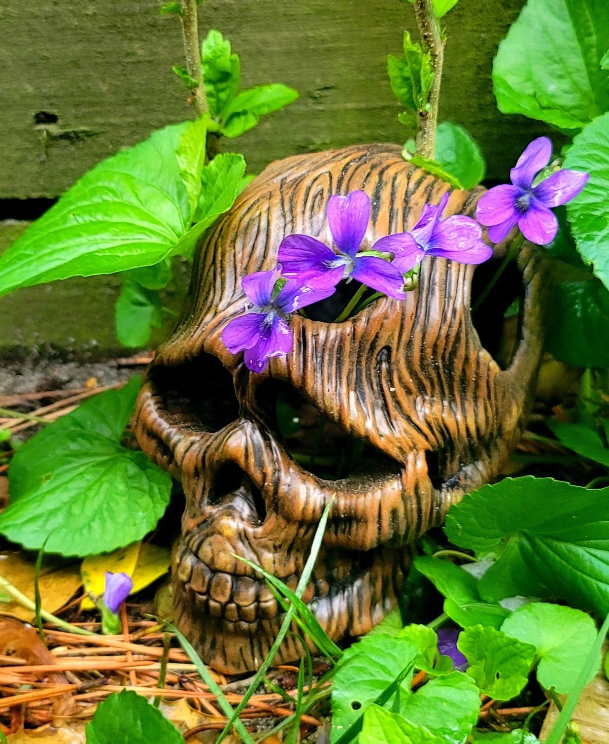 Wooden skull mushroom planter 3d model
