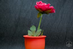 Dynamic Twisted Vase 3d model