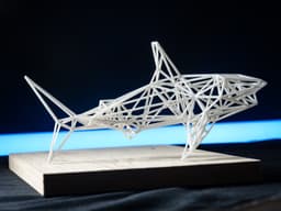 White Shark 3d model
