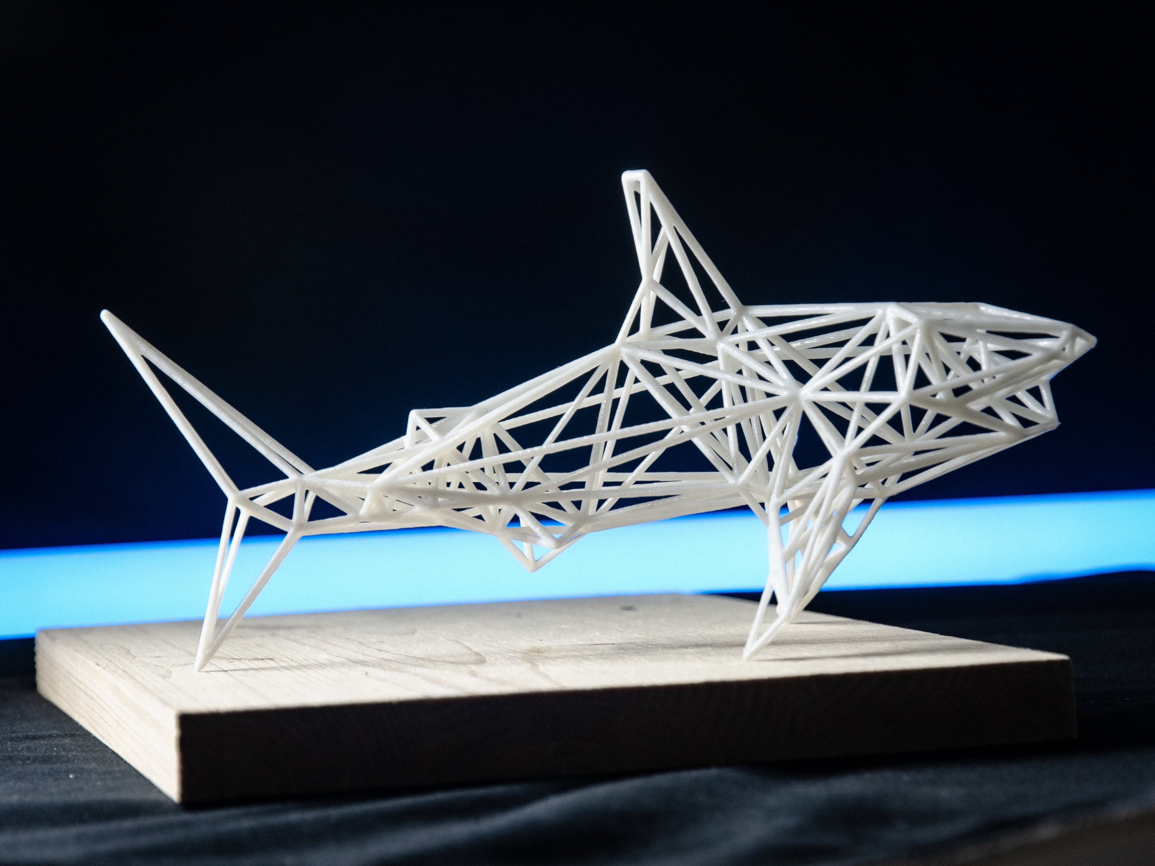 White Shark 3d model