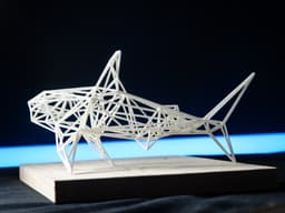 White Shark 3d model