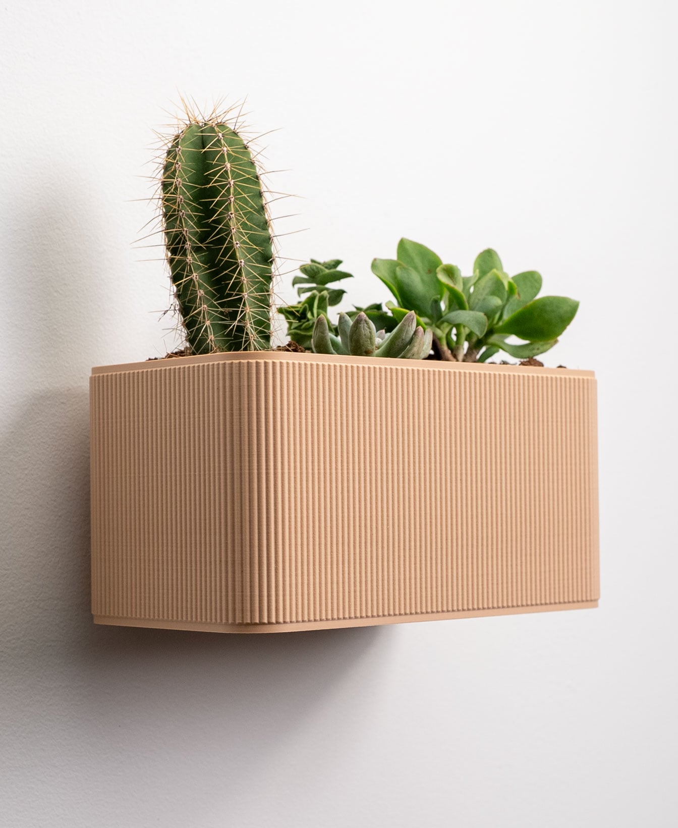 Rectangular Wall Planter 3d model