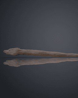 Dragon Heartstring Wand - Harry Potter 3d model
