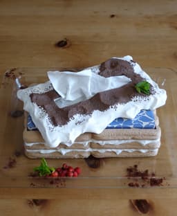 Tissue box tiramisu 3d model
